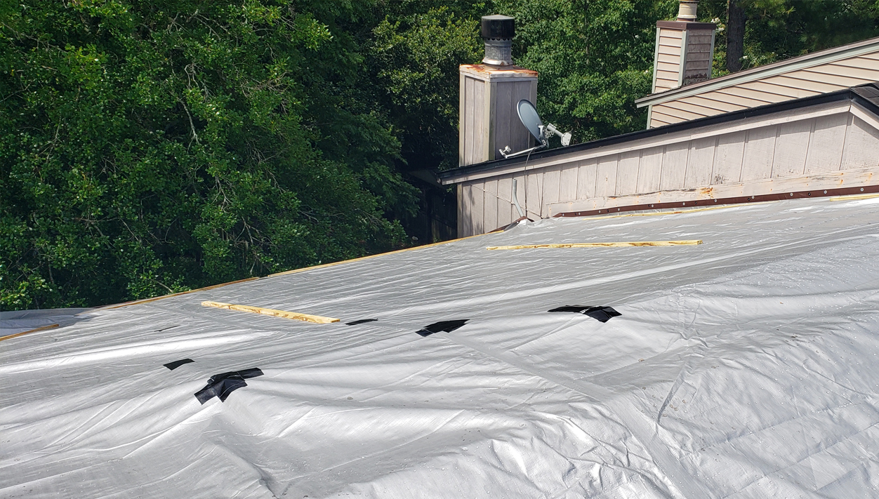 tarpcov tarpcov