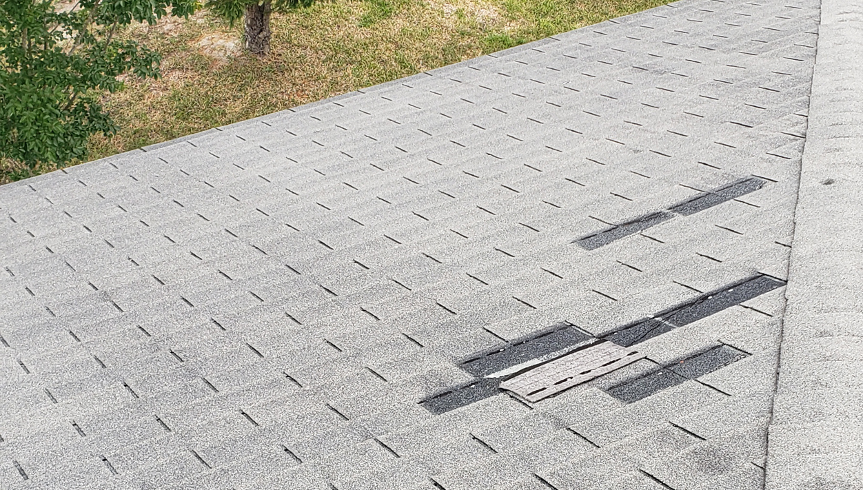 shingles shingles