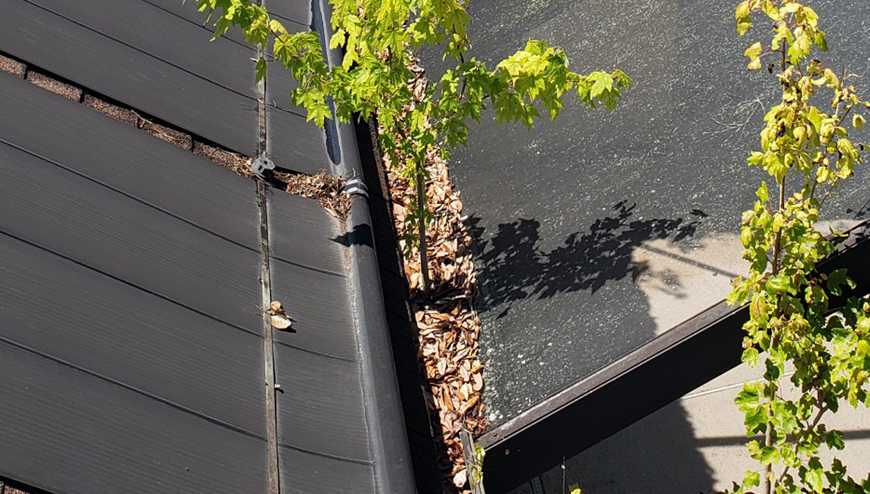 services-gutter services-gutter