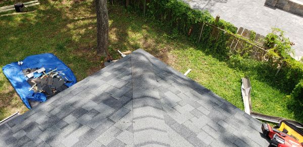 DandS tree fallen roof repair110